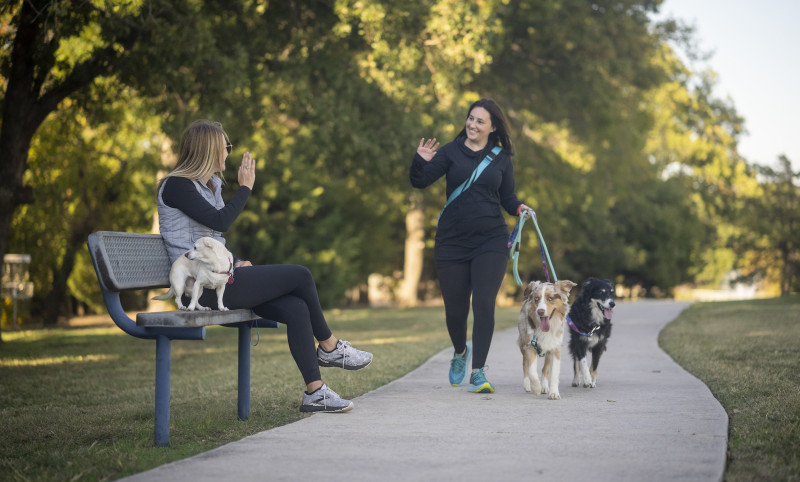 Women with dogs in a park waving at each other